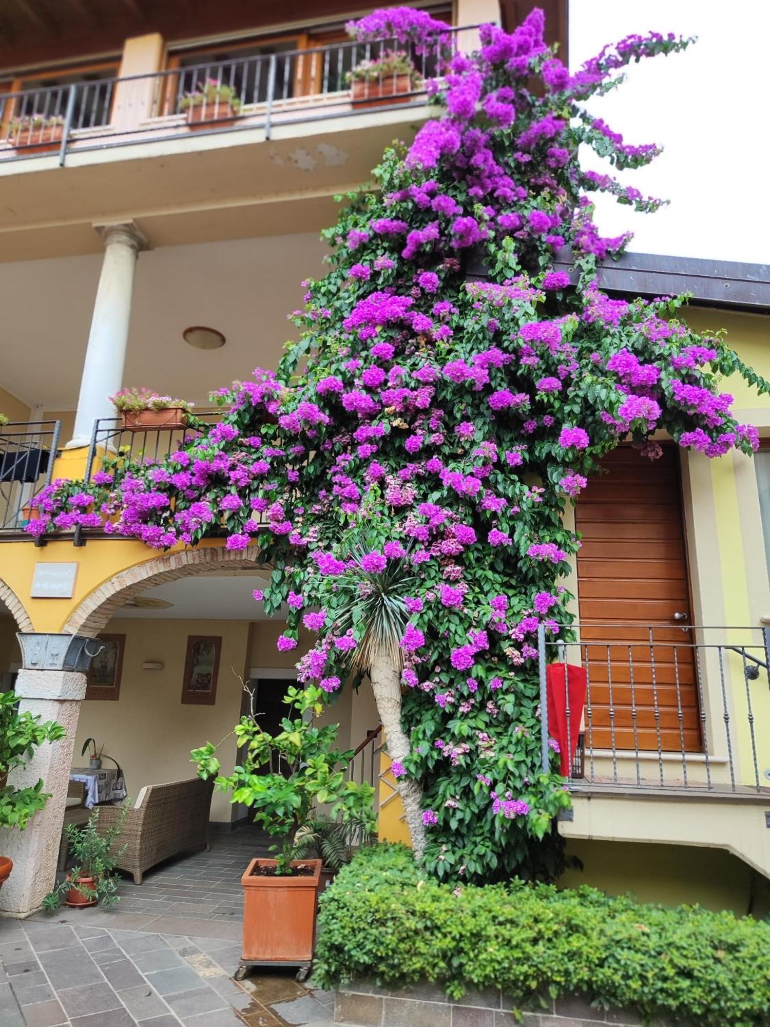 Agriturismo Il Barone Moniga del Garda 외부 사진